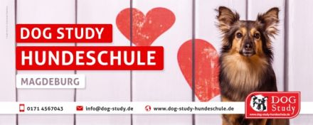 DOG Study Hundeschule