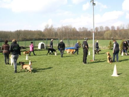 Hundeschule Duwensee