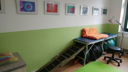 Hundephysiotherapie Heike Amthor