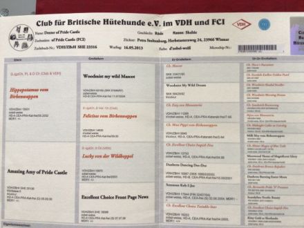 Dexter of Pride Castle VDH/FCI