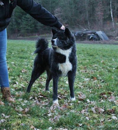 Jinsei Go Shiroiarashi