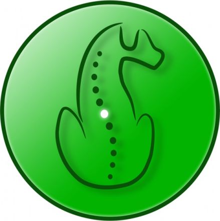 Physiotherapie für Hunde und Katzen