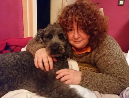 Tiertherapie Kürzinger