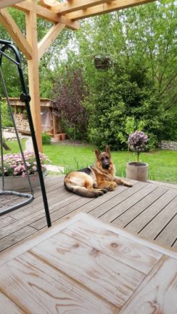 Earl von Haus Bischof