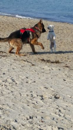 Earl von Haus Bischof