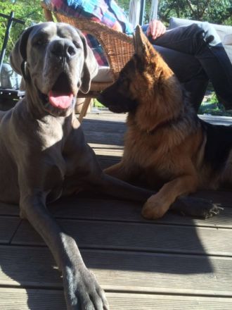 Earl von Haus Bischof