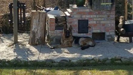 Earl von Haus Bischof