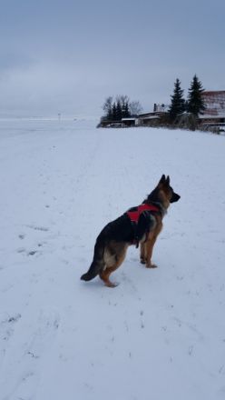 Earl von Haus Bischof