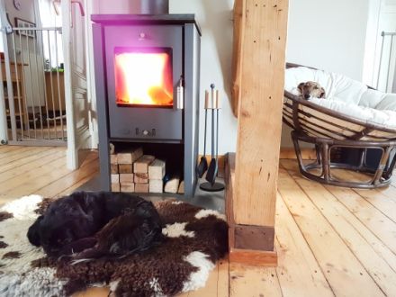 Tippe Tappe Pfötchen Hundetagesstätte und Pension