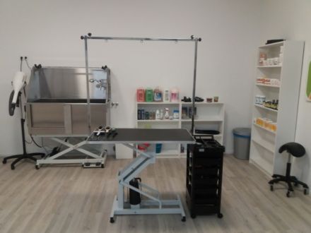 Tierheilpraxis Neuhaus im Futterhaus Burglengenfeld