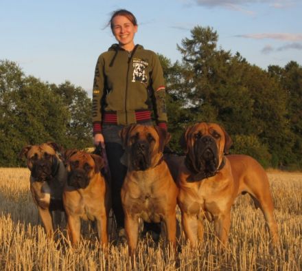 Teutonia-Boerboels