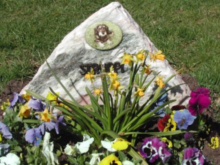 ANUBIS-Tierbestattungen: wir helfen, wenn Freunde gehen - deutschlandweit