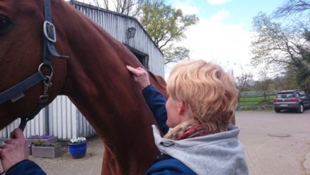 Tierphysiotherapie Meerbusch