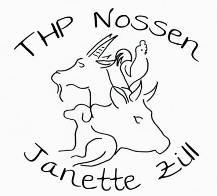 THP Nossen