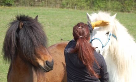 Mobile Tierheilpraxis Natur.Heil.Kraft. Jeanette Pacher