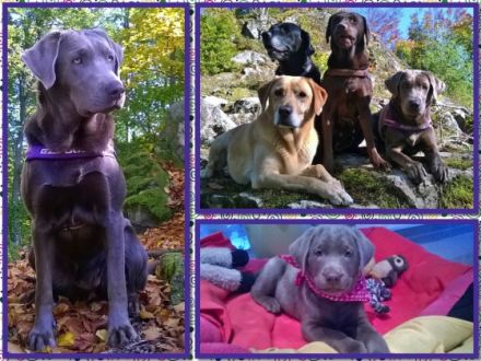 von der Prinzenschmiede