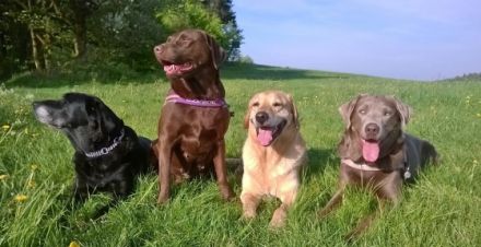 von der Prinzenschmiede