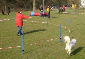 Hundeschule Andrea Büchner