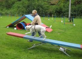 Hundeschule Andrea Büchner