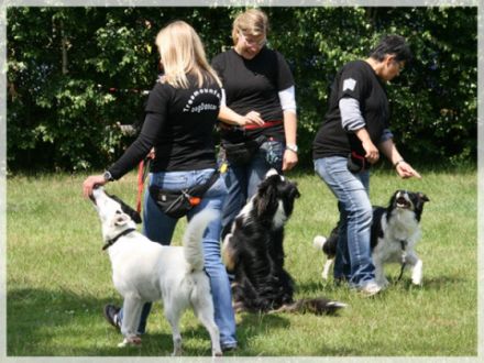 Treemountains Hundeschule Nottuln Dülmen Coesfeld