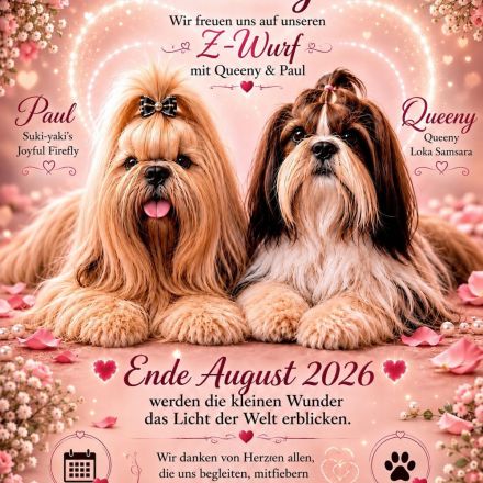Loka Samsara Shih Tzu