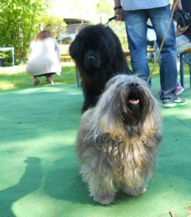 Mars vom Zarskoje Selo