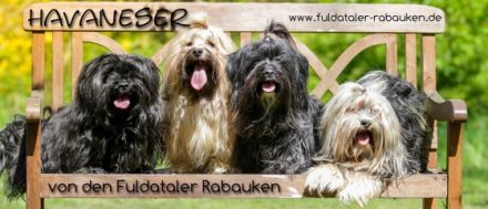 von den Fuldataler Rabauken