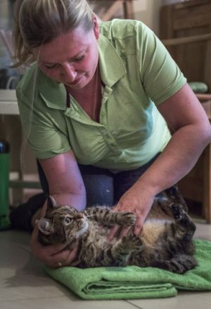 Tierheilpraxis Angela Pruß