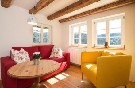 Fewo Titisee in Alleinlage mit Hund