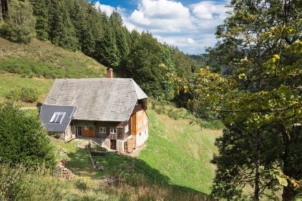 Fewo Titisee in Alleinlage mit Hund