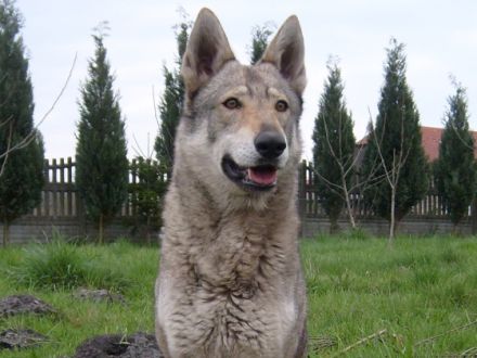 Z Granitowego Wzgórza