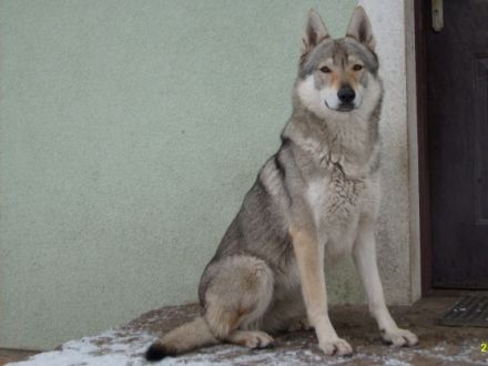 Z Granitowego Wzgórza