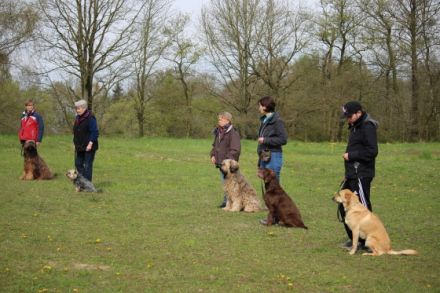 einMensch+einHund=einTeam