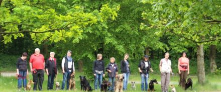 einMensch+einHund=einTeam