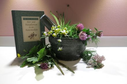 Mobile Tierheilpraxis Yvonne Gratz