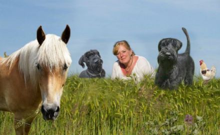 Awintaris tierisches Glück