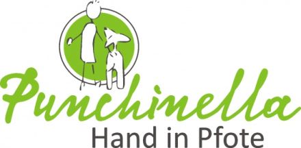 Punchinella - Hand in Pfote