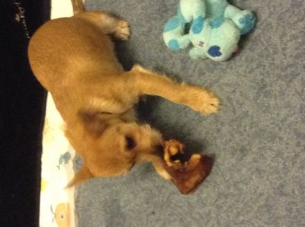 Ankommen und Wohlfühlen