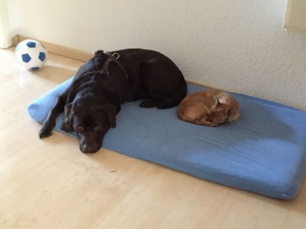 Ankommen und Wohlfühlen