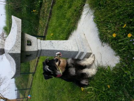 Attila vom Schlosstheater