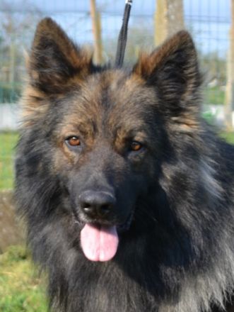 Ur Simply The Best From The Wolfpack