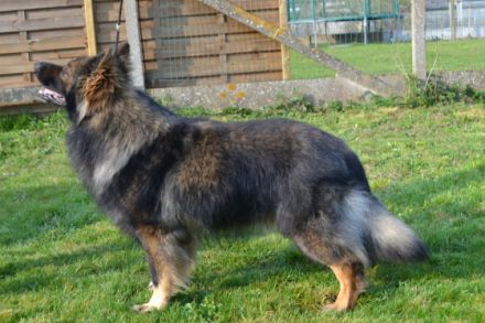 Ur Simply The Best From The Wolfpack