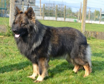 Ur Simply The Best From The Wolfpack