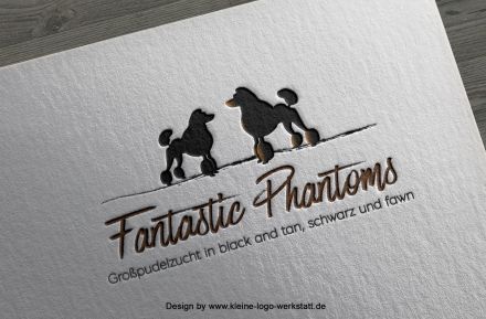 Fantastic Phantoms
