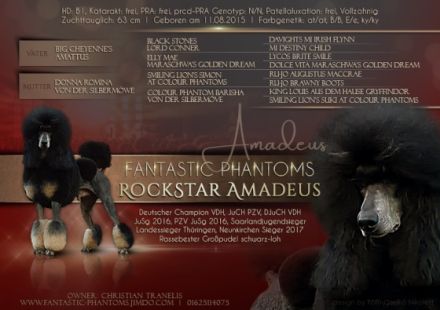 Multi Ch. Fantastic Phantoms RockStar Amadeus