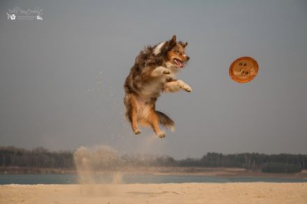 Compliment's a dreamed wild angel DNA-VP