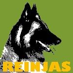 Reinjas Hundeschule - Mittelfrankens mobile Hundes