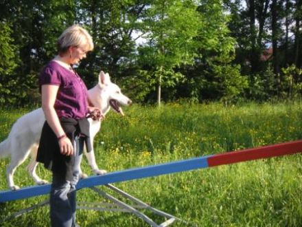 Lebensfreude Hund e.V.