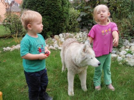 Lebensfreude Hund e.V.