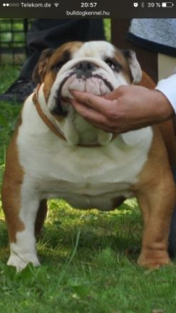 Wolfgang von der Teufelshöhle